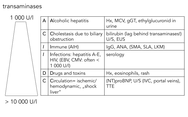 moderate to high tansaminases2.png