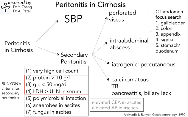 Peritonitis in Cirrhosis SBP vs secondary .png