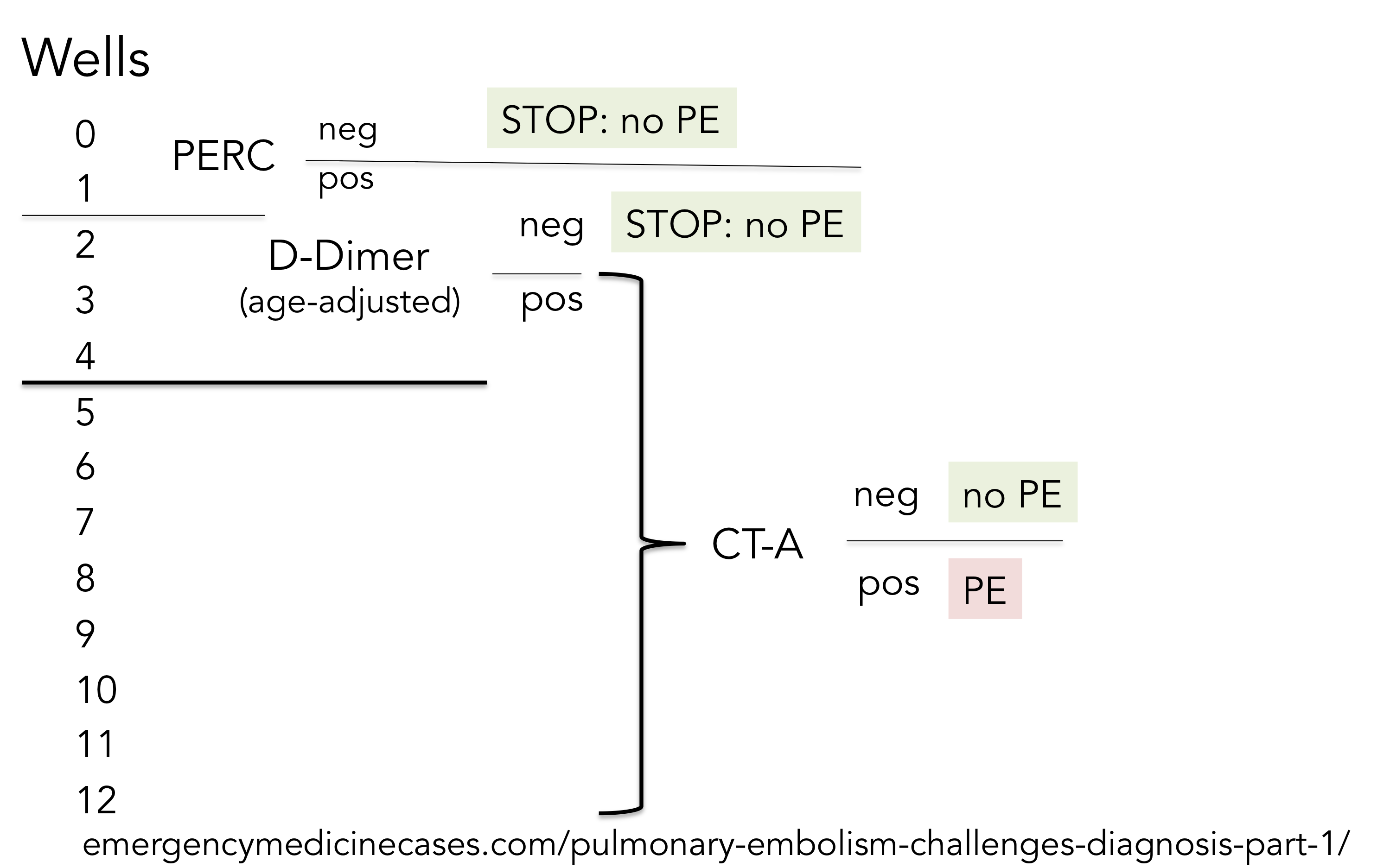 Wells based decision pathways PNG.png