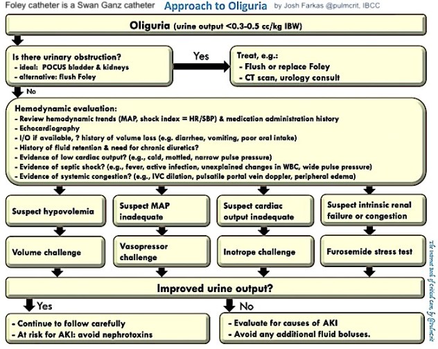 approach to oliguria IBCC J Farkas.jpg