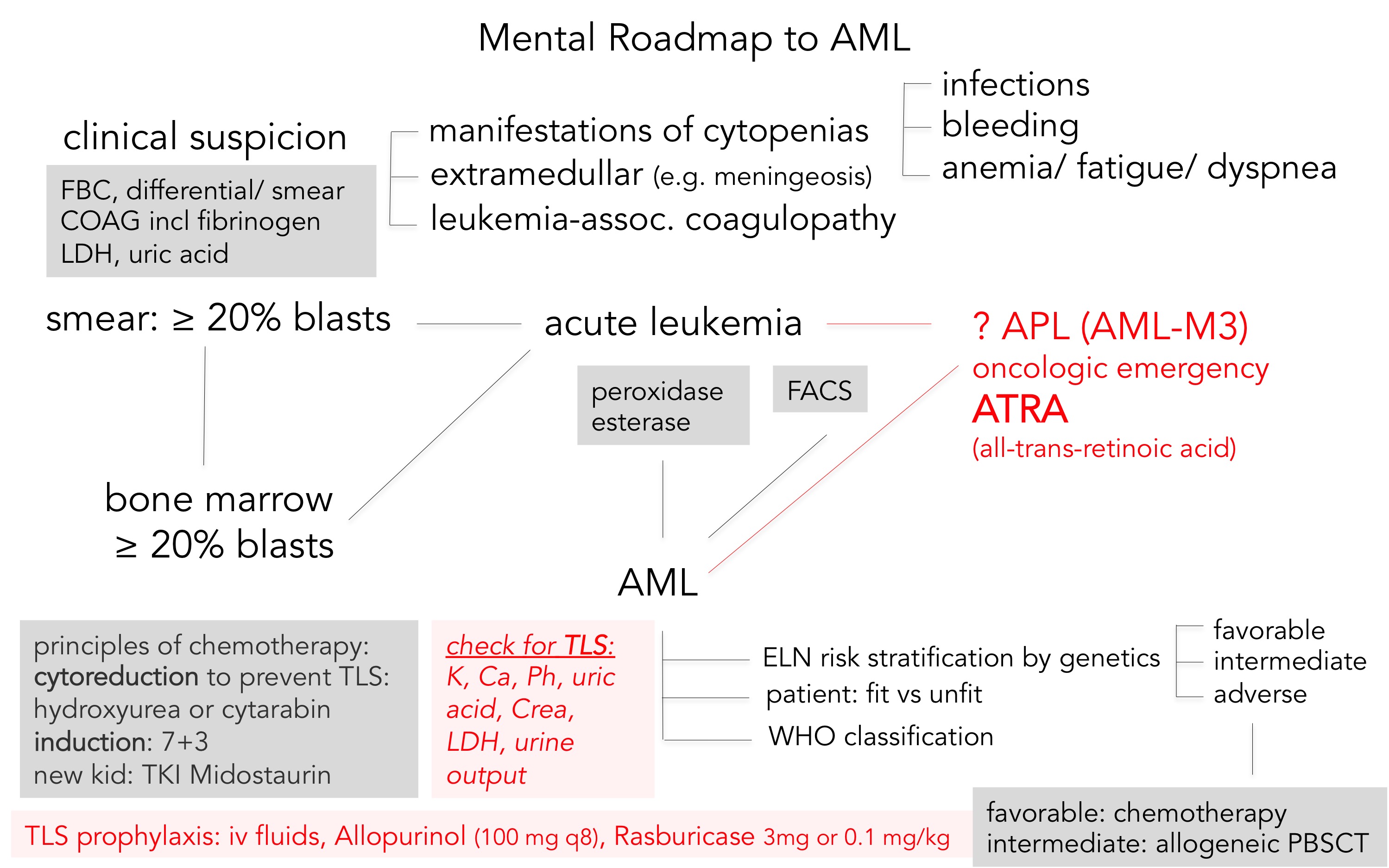 road to AML PNG.jpg