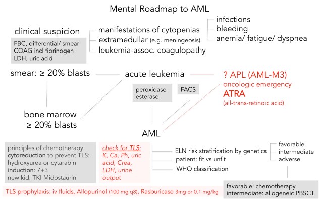 road to AML PNG.jpg