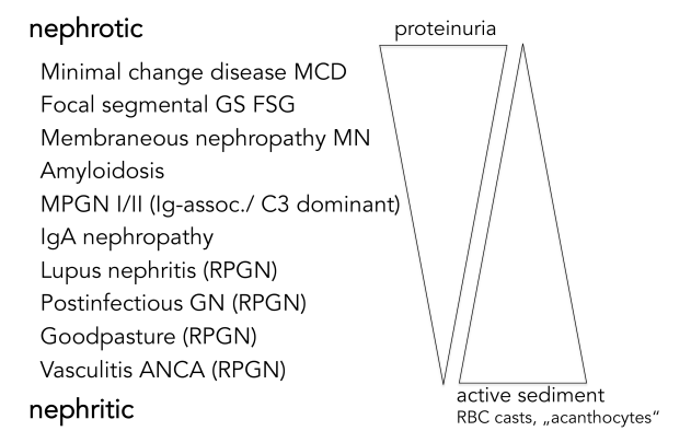 urinalysis and glomerulopathy.png