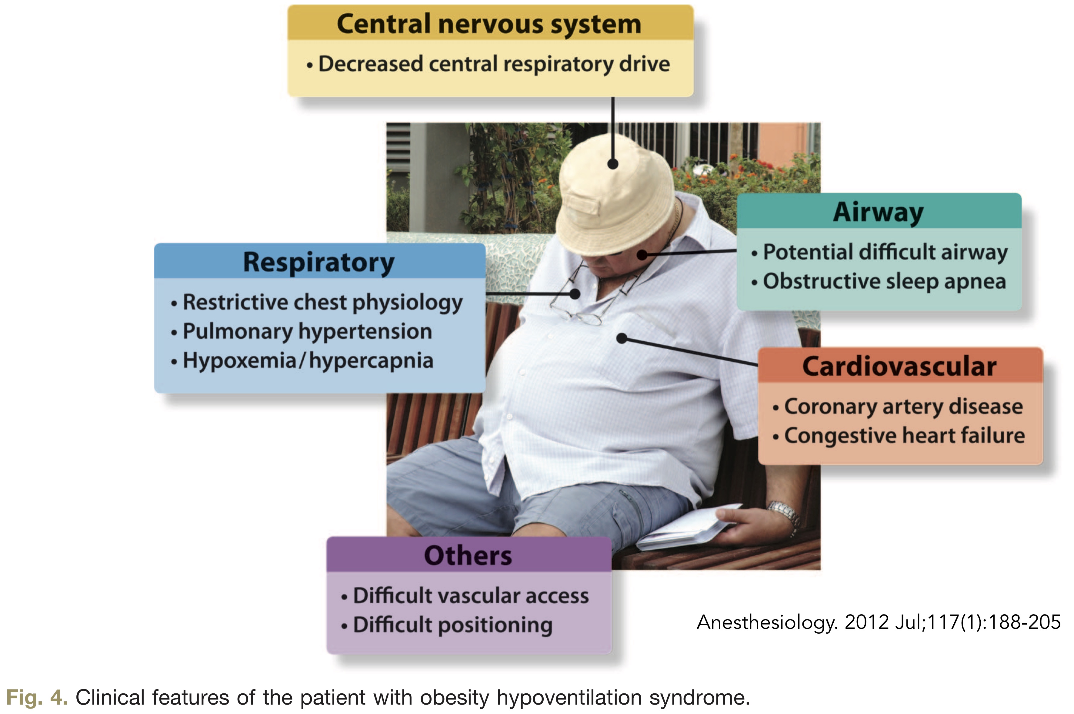 clinical features of OHS