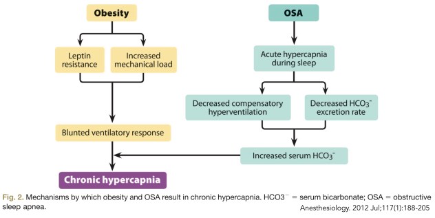 pathophysiology of OHS