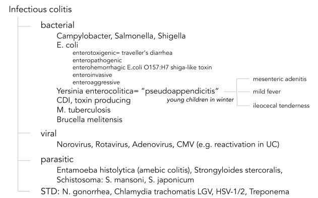 infectious colitis_jk.png